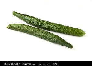 吃瓜娱乐的背景图片高清,吃瓜娱乐背后的视觉盛宴  第3张