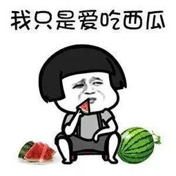 娱乐圈吃瓜须知,揭秘明星幕后真相，轻松解锁八卦秘籍  第1张